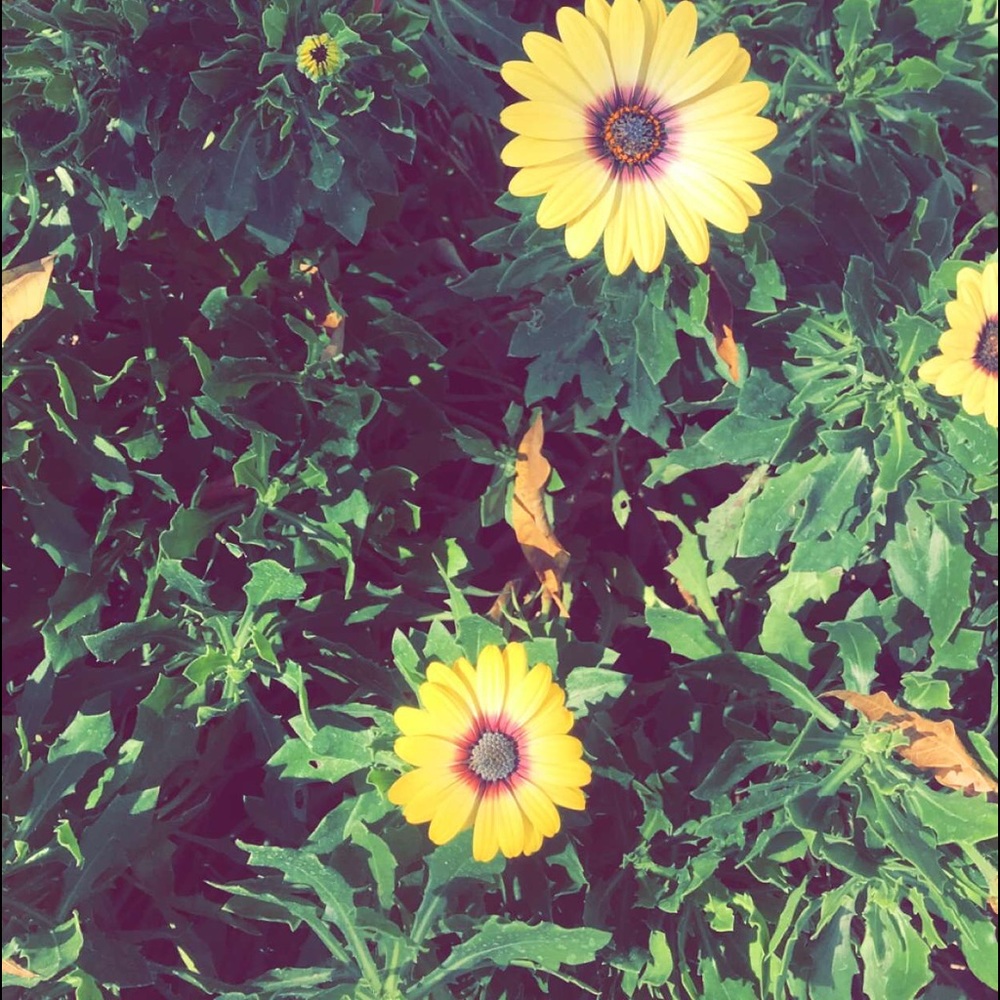 Meet your Posher, Rebekah